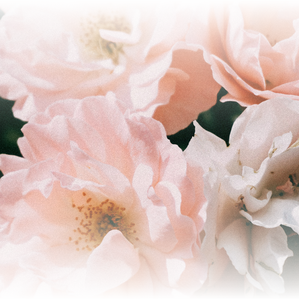 001+로망.png